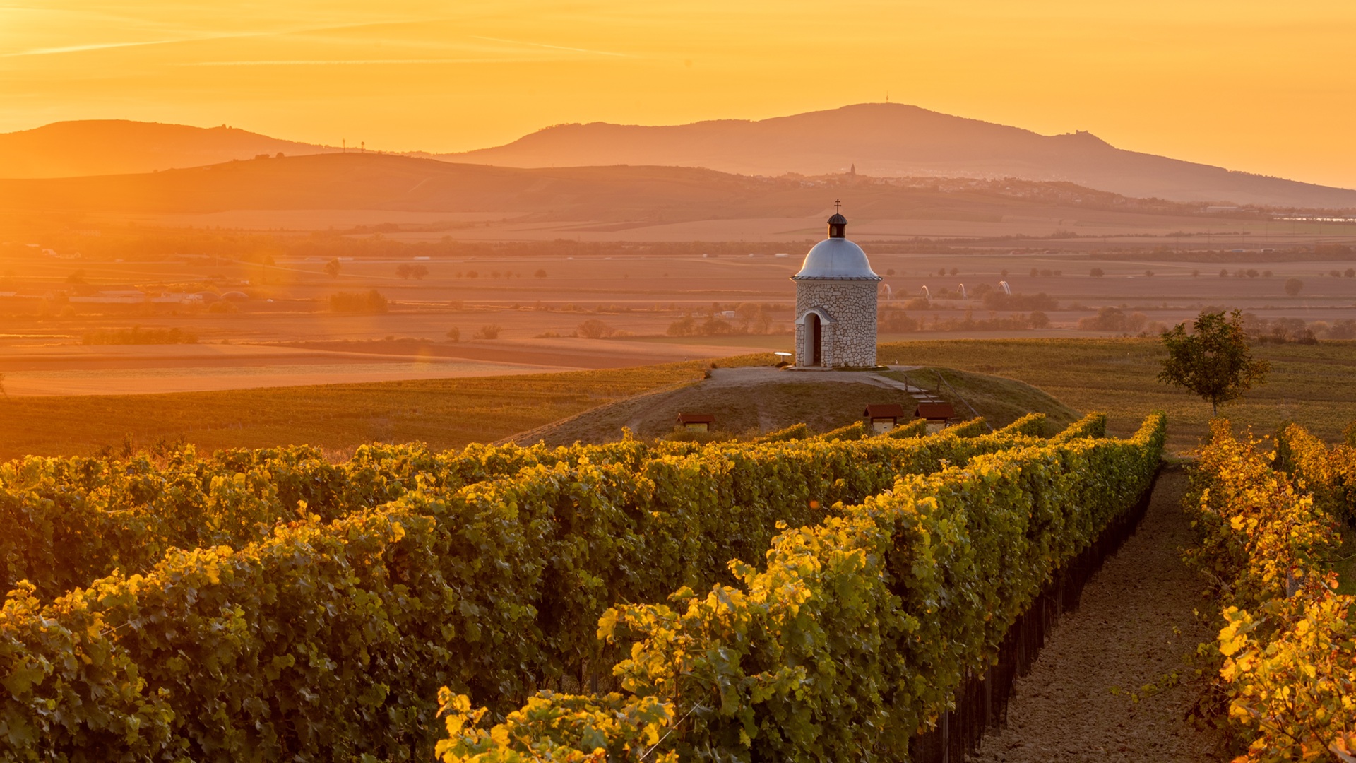  Pohled na vinice a kostelíček 