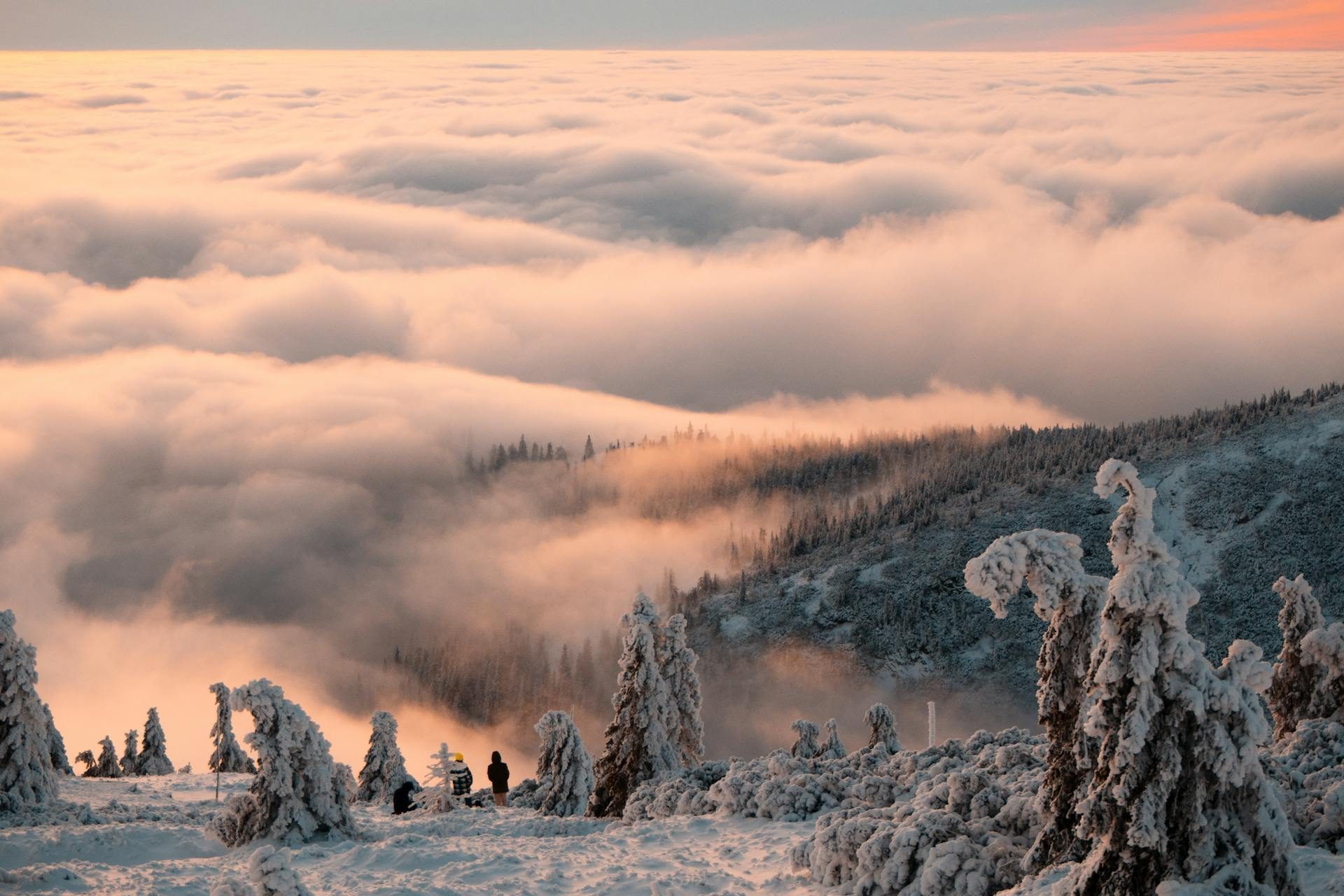 Pohled na Český Krumlov
